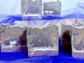 Poseidon's Wrath Soap Bar | Activated Charcoal & Shea Butter
