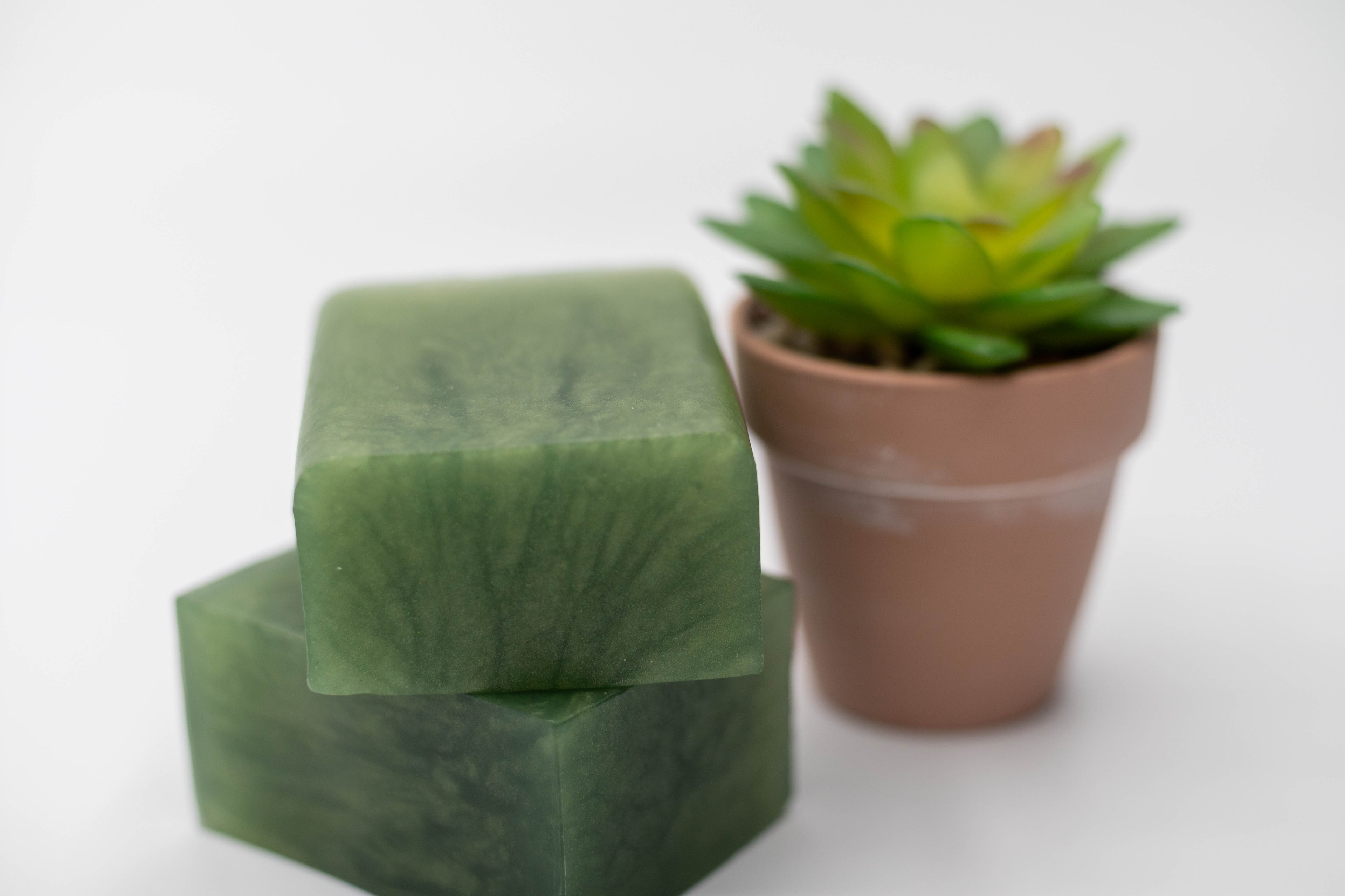 Evergreen Handmade Soap Bar | Peppermint & Eucalyptus